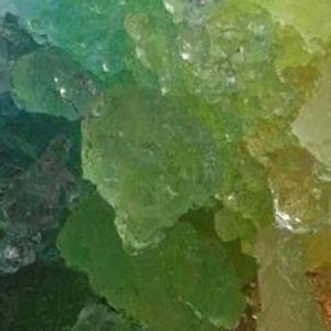 Meet your Posher, Molly